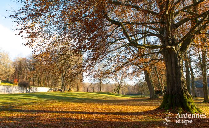 Kasteel in Ciney voor 31 personen in de Ardennen