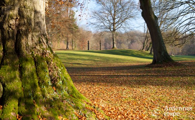 Kasteel in Ciney voor 31 personen in de Ardennen