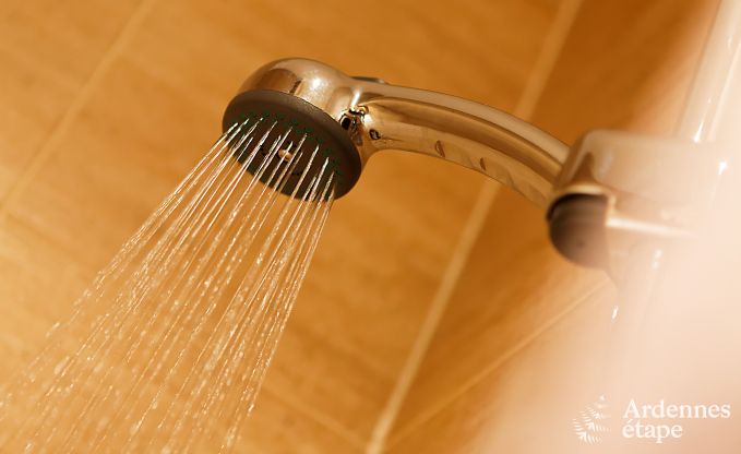 Vakantiehuis in Ciney voor 24 personen in de Ardennen