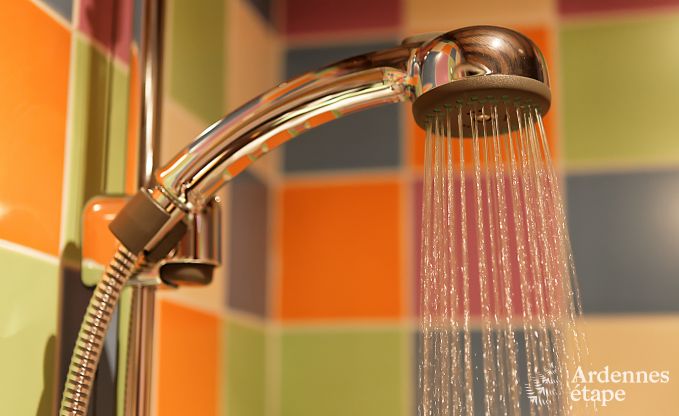 Vakantiehuis in Ciney voor 24 personen in de Ardennen