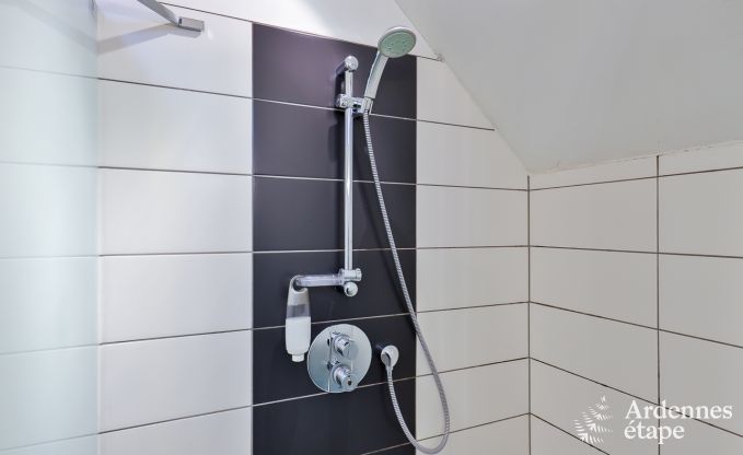 Vakantiehuis in Ciney voor 15 personen in de Ardennen