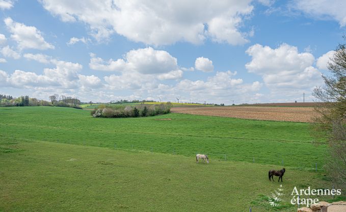 Luxe vakantiewoning in Ciney: huis voor 8 personen met binnenzwembad, sauna en priv�tuin