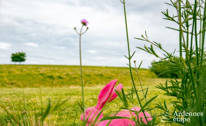 Cottage in Clavier voor 2 personen in de Ardennen
