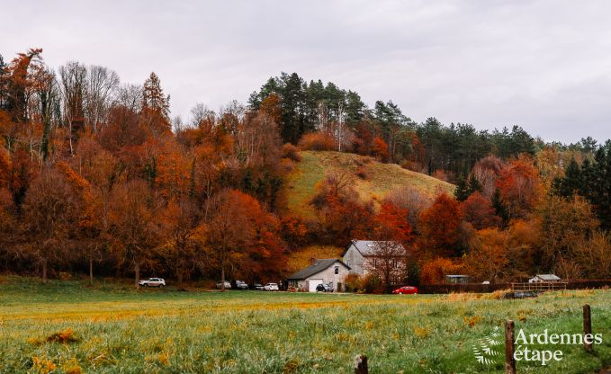 Comfortabele vakantiewoning in Clavier voor 6 personen met priv�tuin en open haard