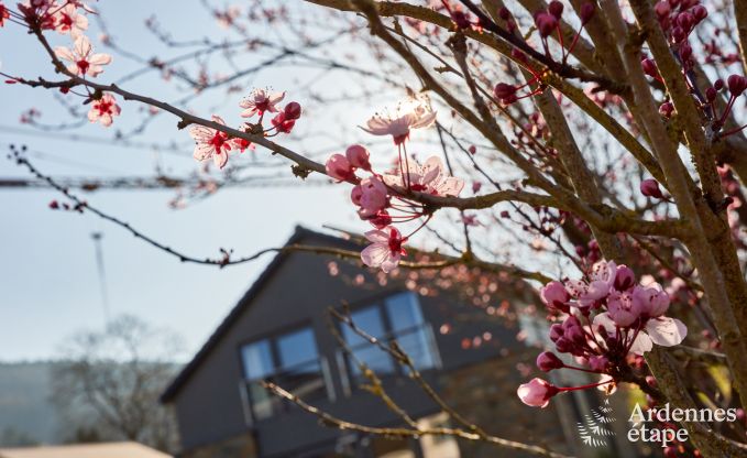Vakantiehuis in Coo voor 11 personen in de Ardennen