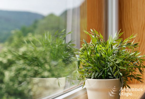 Luxe villa in Coo voor 8 personen in de Ardennen