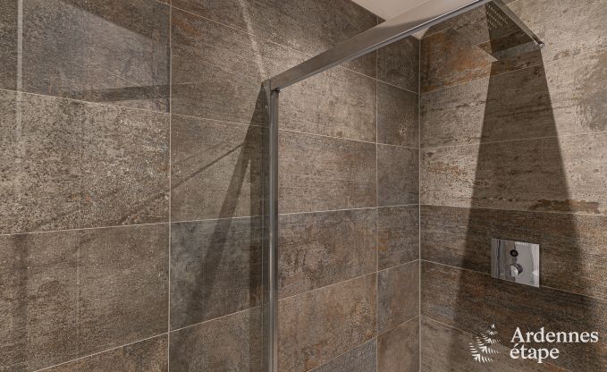 Cottage in Couvin voor 18 personen in de Ardennen