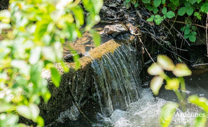 Cottage in Couvin voor 4+2 personen in de Ardennen