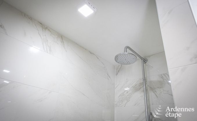 Vakantiehuis in Couvin voor 8 personen in de Ardennen