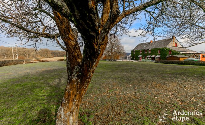 Vakantiehuis in Couvin voor 15 personen in de Ardennen