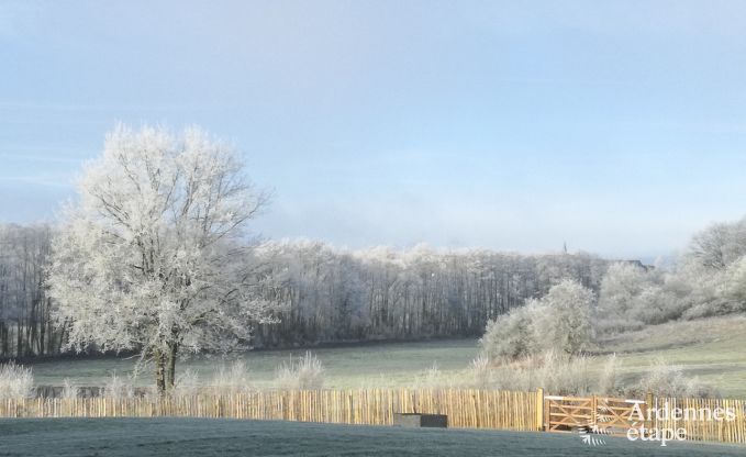 Cottage in Couvin voor 18 personen in de Ardennen