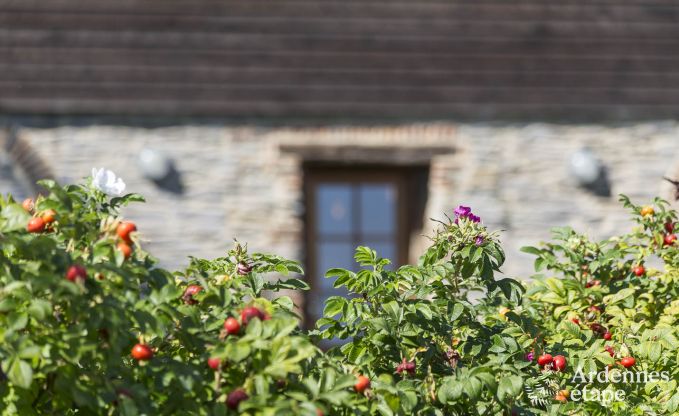 Cottage in Couvin voor 15 personen in de Ardennen