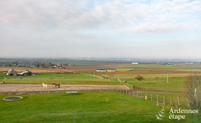 Vakantiehuis in Dalhem voor 15 personen in de Ardennen