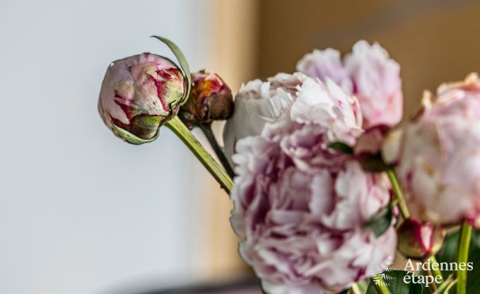 Vakantiehuis in Dalhem voor 6 personen in de Ardennen
