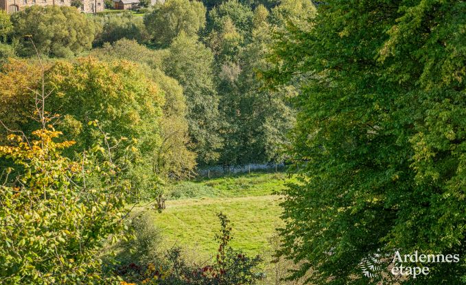 Ruime vakantievilla in Daverdisse voor 14 personen met 5 slaap- en badkamers, wellnessfaciliteiten en privtuin