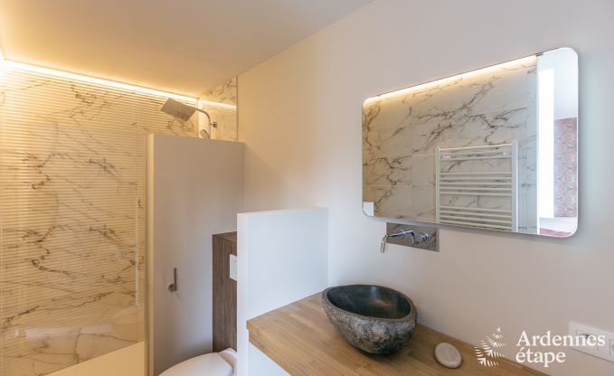 Ruime luxevilla in Daverdisse voor 22 personen met 11 slaapkamers, binnenzwembad, sauna en jacuzzi