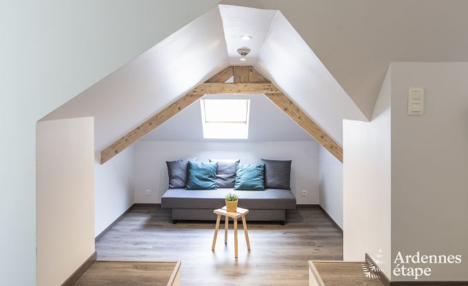 Vakantiehuis in Daverdisse voor 19/20 personen in de Ardennen