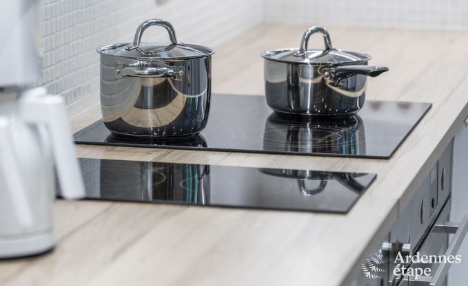 Vakantiehuis in Daverdisse voor 19/20 personen in de Ardennen