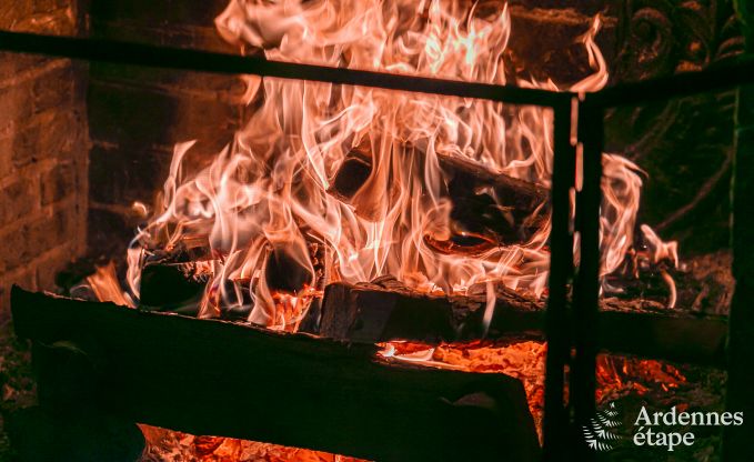 Vakantiehuis in Daverdisse voor 14 personen in de Ardennen