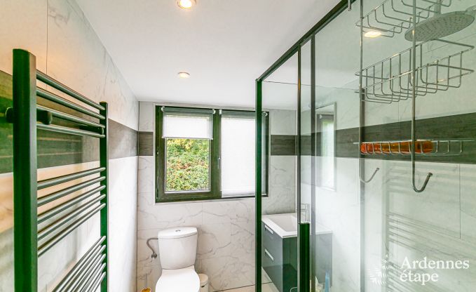 Vakantiehuis in Daverdisse voor 8/9 personen in de Ardennen