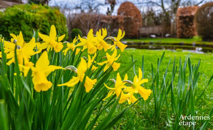 Vakantiehuis in Daverdisse voor 9 personen in de Ardennen