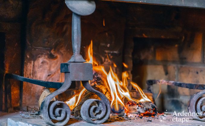 Vakantiehuis in Daverdisse voor 9 personen in de Ardennen