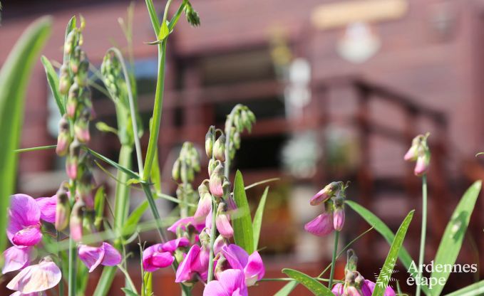 Chalet in Dinant (Hasti�re) voor 6 personen in de Ardennen
