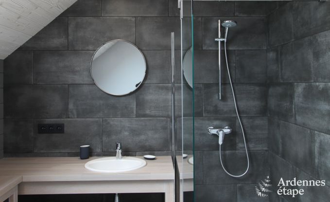 Vakantiehuis in Dinant (Waulsort) voor 6 personen in de Ardennen