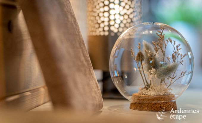 Buitengewoon in Dinant voor 2/3 personen in de Ardennen