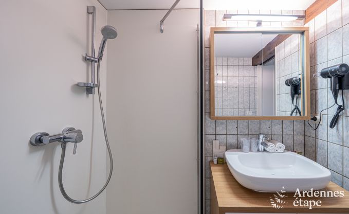 Cottage in Dinant voor 20 personen in de Ardennen