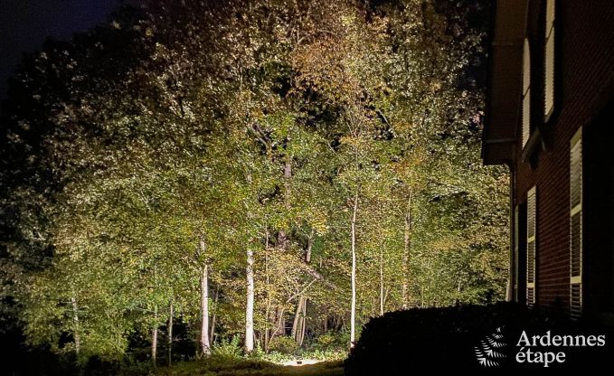 Ruim vakantiehuis met zwembad in Dinant, Ardennen