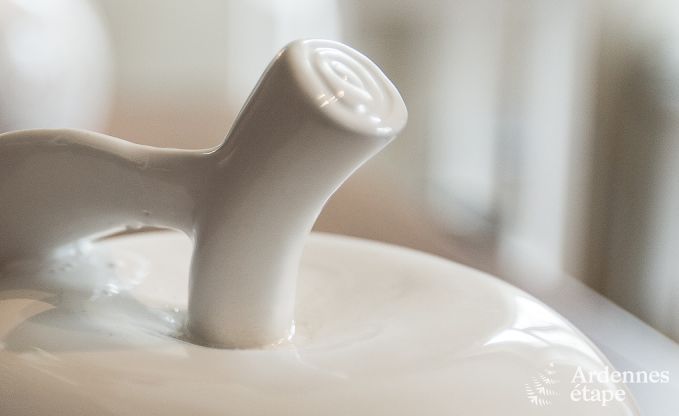 Vakantiehuis in Dinant voor 6 personen in de Ardennen