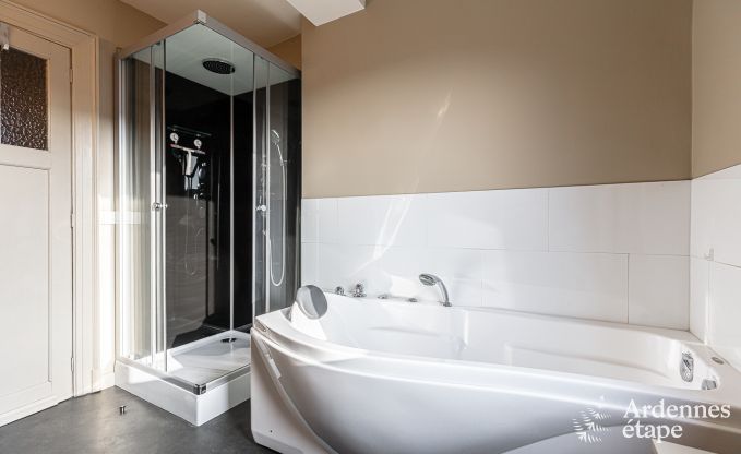 Herenhuis in Dinant voor 12/14 personen in de Ardennen