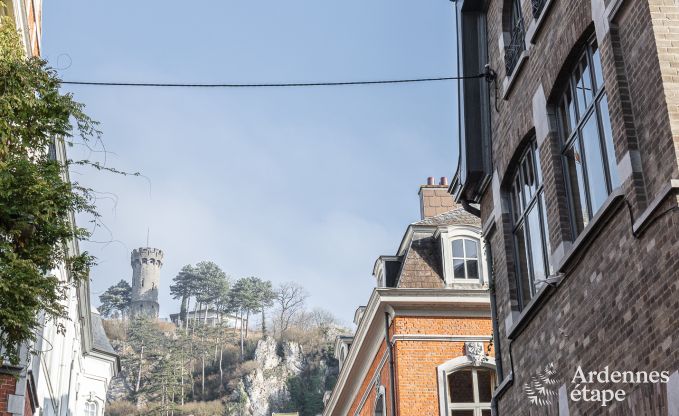Herenhuis in Dinant voor 12/14 personen in de Ardennen