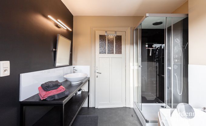 Herenhuis in Dinant voor 12/14 personen in de Ardennen