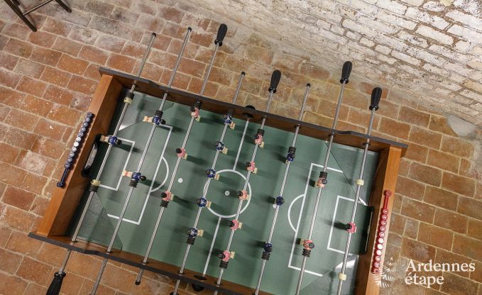 Herenhuis in Dinant voor 12/14 personen in de Ardennen