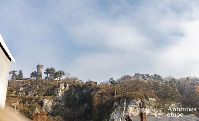Herenhuis in Dinant voor 12/14 personen in de Ardennen