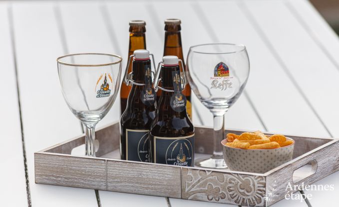 Herenhuis in Dinant voor 12/14 personen in de Ardennen