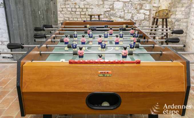 Herenhuis in Dinant voor 12/14 personen in de Ardennen