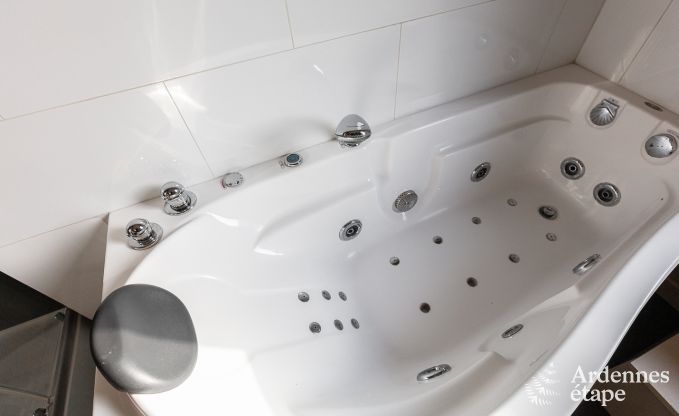 Herenhuis in Dinant voor 12/14 personen in de Ardennen