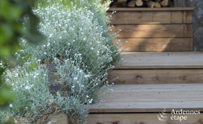 Vakantiehuis in Dinant voor 8 personen in de Ardennen