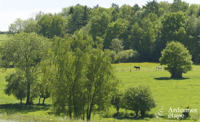 Vakantiehuis in Dinant voor 8 personen in de Ardennen