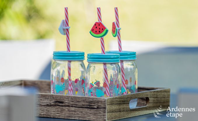 Vakantiehuis in Dinant voor 8/9 personen in de Ardennen