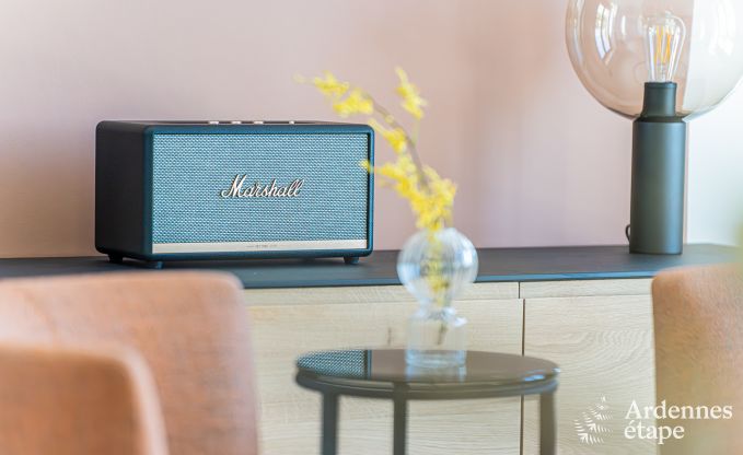 Vakantiehuis in Dinant voor 8/9 personen in de Ardennen