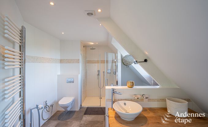 Vakantiehuis in Dinant voor 8/9 personen in de Ardennen