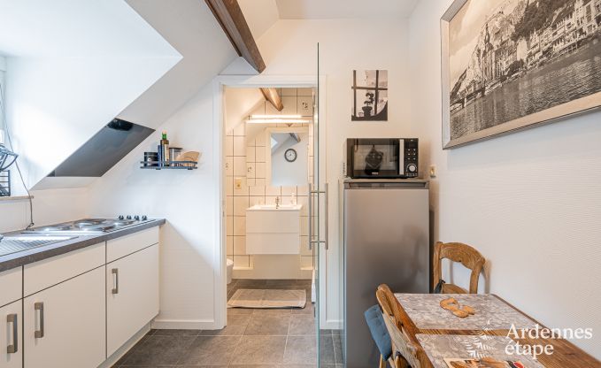 Appartement in Dinant voor 6 personen in de Ardennen