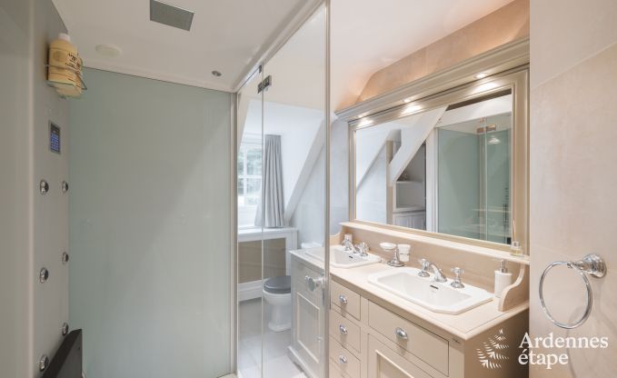 Ruim vakantiehuis met zwembad in Dinant, Ardennen