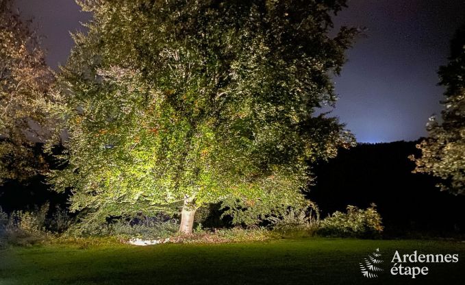 Ruim vakantiehuis met zwembad in Dinant, Ardennen