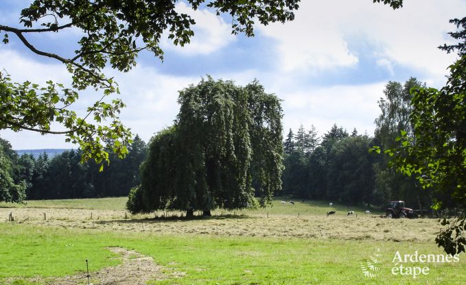 Vakantiehuis in Dinant voor 6 personen in de Ardennen