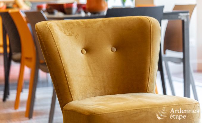 Herenhuis in Dinant voor 12/14 personen in de Ardennen